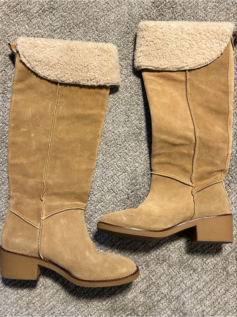 Coach Janelle Suede Over-The-Knee Shearling Boots